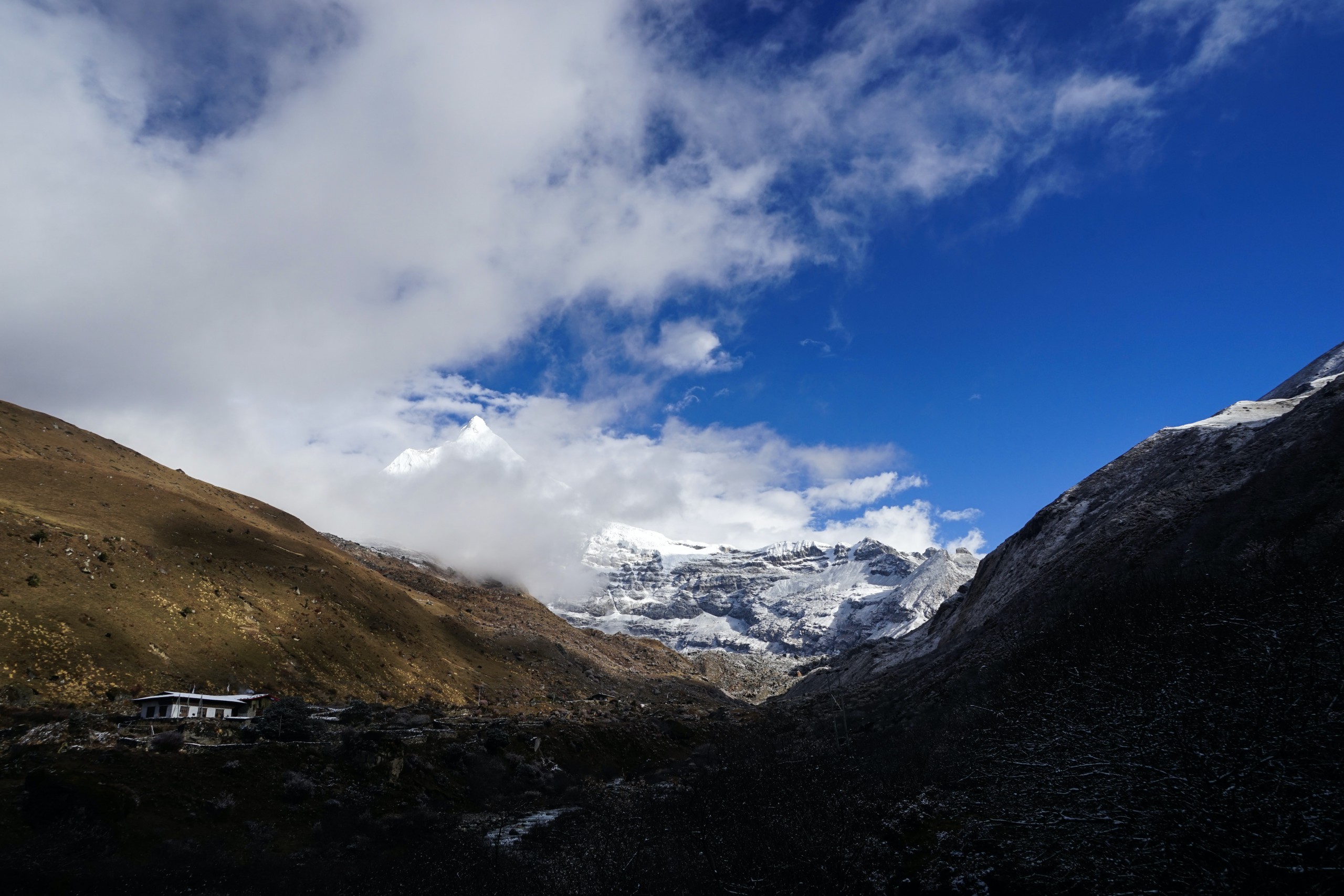 Beautiful Laya/Gasa Trek